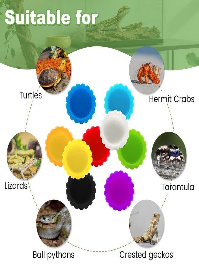 KCMOSGI 9 Pcs Crested Gecko Food and Water Bowl, Crested Gecko Food Dish with Tweezers, Gecko Tank Accessories for Geckos, Hermit Crabs, Tortoises - Image 4